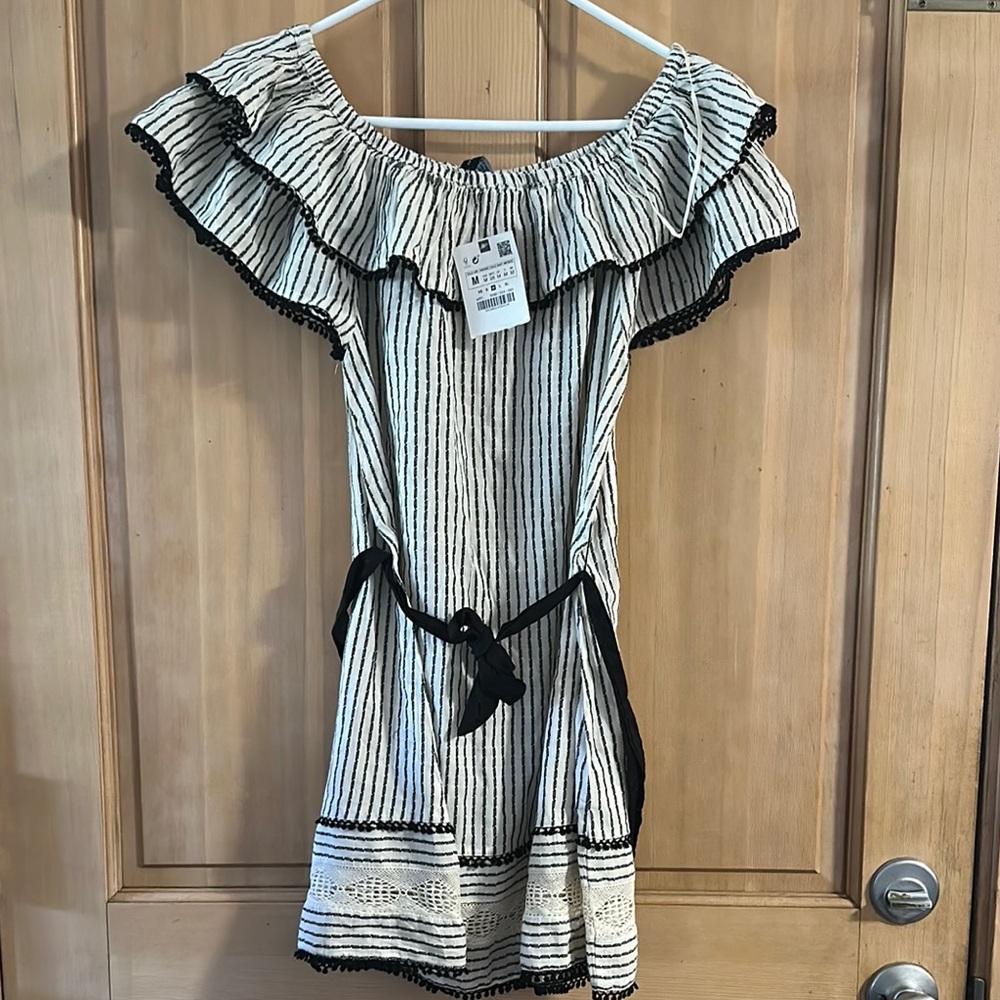 Zara Black and White Striped Mini Dress